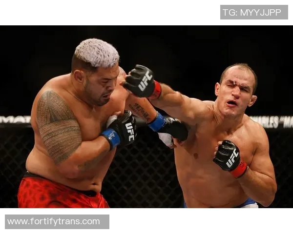 UFC赛事聚焦：对决之夜揭幕多桑托斯的强大实力与挑战